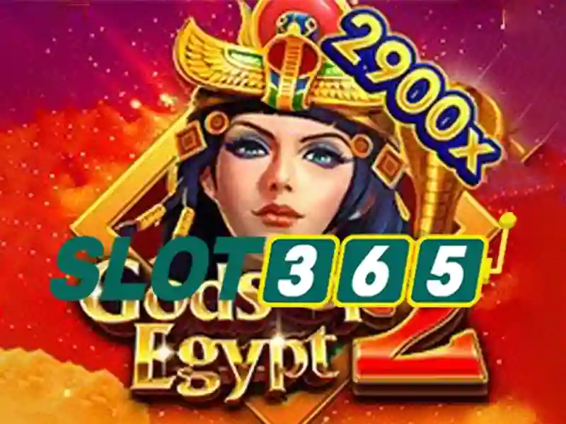 slot365 net – Sản phẩm và dịch vụ cốt lõi