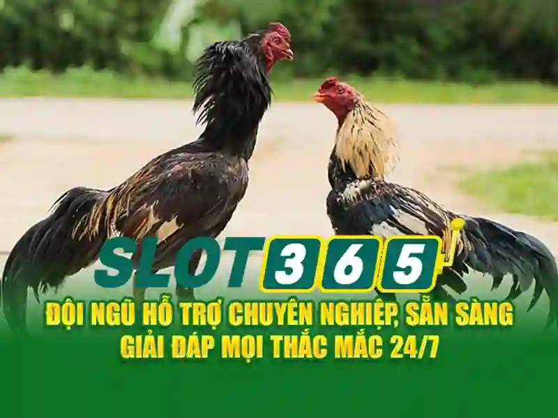 phiên bản mới Slot365 – Đột phá trải nghiệm game đỉnh cao phiên bản mới Slot365 – Đột phá trải nghiệm game đỉnh cao