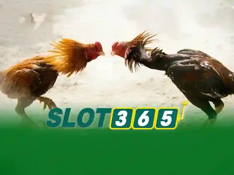 nhận thưởng Slot365 – Nguồn gốc và sứ mệnh