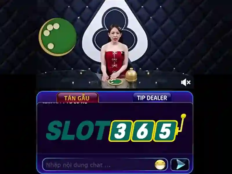 Slot365 có hợp pháp không – Khởi đầu câu chuyện về sự minh bạch