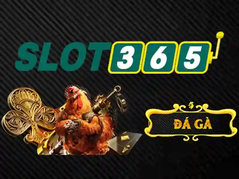 slot365 com – Phát triển và tầm nhìn tương lai