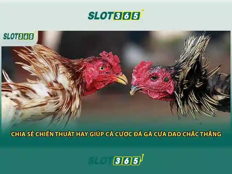 slot365 app - Khám phá nền tảng chơi slot an toàn và tiện ích 1 Đăng Nhập