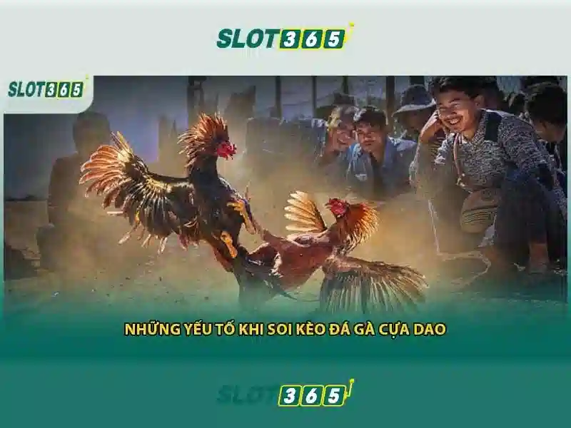 slot365 có lừa đảo không – Tổng quan và Giá trị cốt lõi slot365 có lừa đảo không – Tổng quan và Giá trị cốt lõi