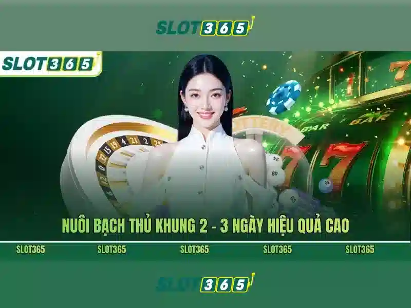 slot365. – Tổng quan chủ đề và giá trị
