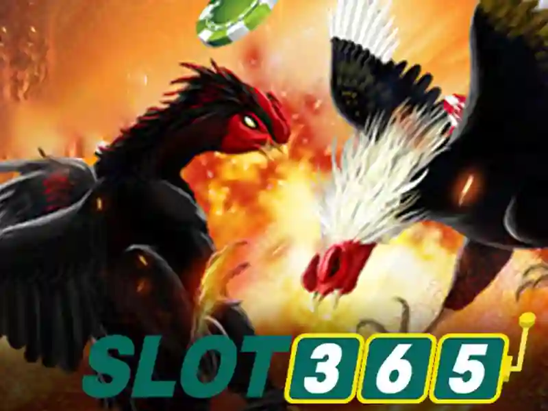 Khái niệm và mục tiêu Slot365 rút tiền